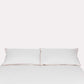 Classic Percale - Fitted Sheet Set- White with Peach Piped Edge