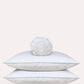 Classic Percale - Fitted Sheet Set- White with Jade Green Piped Edge